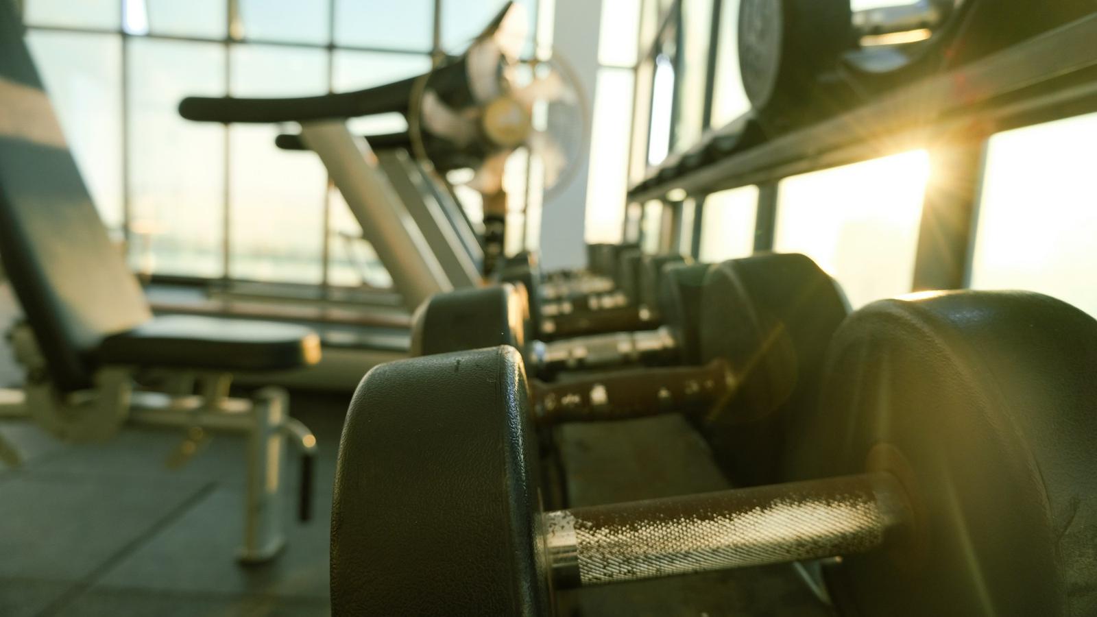 Dumbbell rack and weight benches on a sunlit gym floor